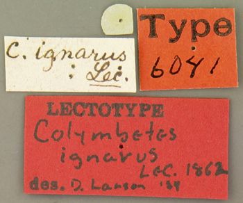Media type: image;   Entomology 6041 Aspect: labels